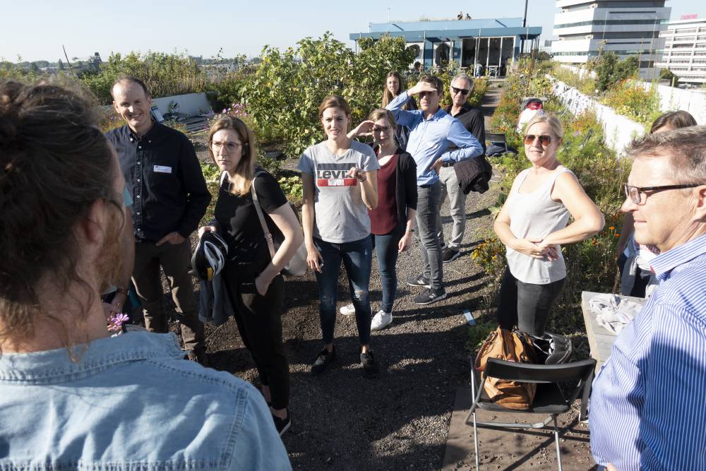 fotoreportage rotterdamse daken